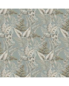 Fern
