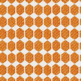Apricot