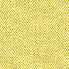 Daffodil