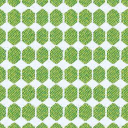 Fern